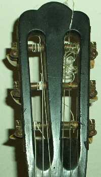 Common Crowned Headstock
